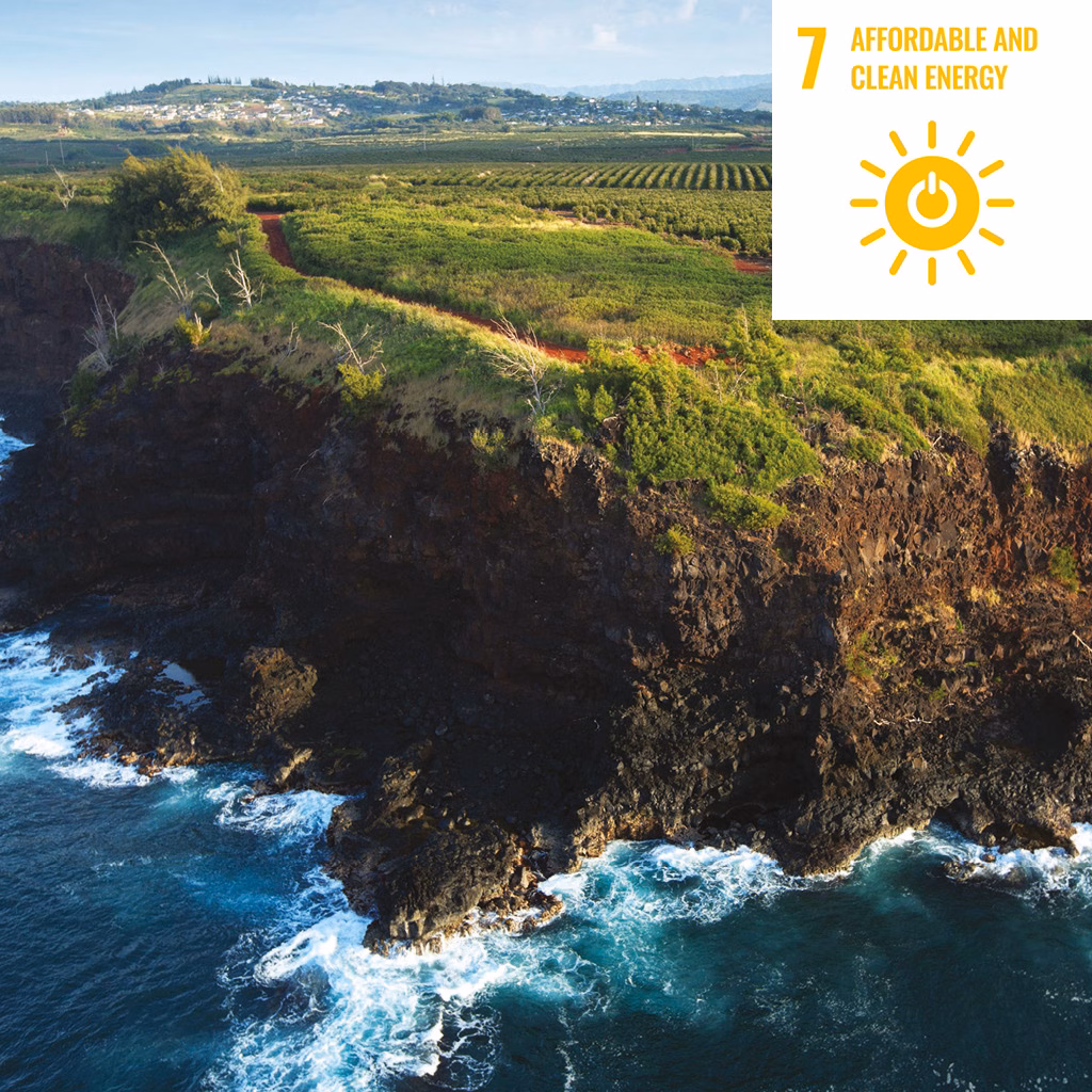 Luftaufnahme: Steilküste am Meer mit Vegetation, im Hintergrund ein Ort und Berge